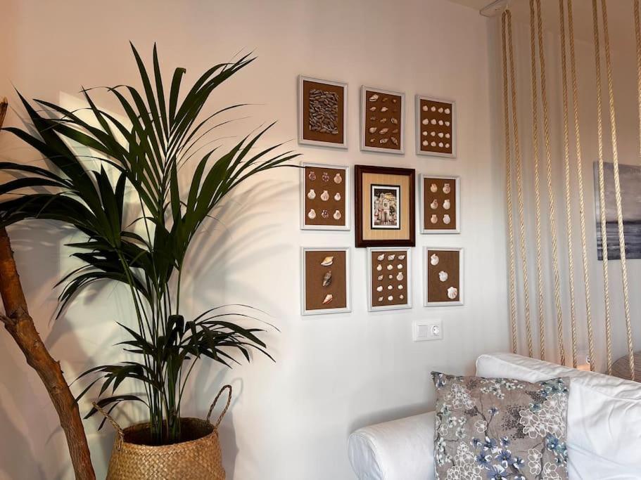 Ocean Dream Apartments - Lovely Sea View Studio Apartment 5Min From Beach San Marcos  외부 사진
