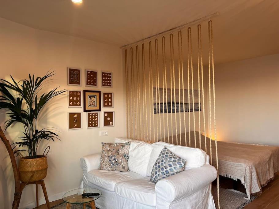 Ocean Dream Apartments - Lovely Sea View Studio Apartment 5Min From Beach San Marcos  외부 사진